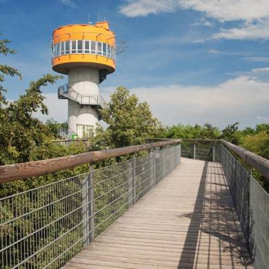 Baumkronenpfad im Nationalpark Hainich Baumkronenpfad im Nationalpark Hainich